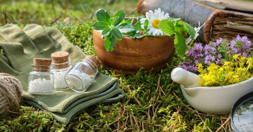 herbes et plantes, remèdes naturels pour les déséquilibres hormonaux, disposées dans des bols et des pots sur une pelouse
